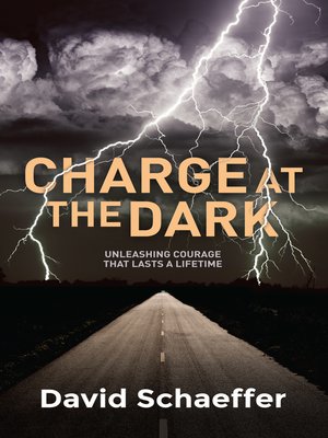 cover image of Charge at the Dark